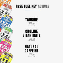 Load image into Gallery viewer, RYSE Fuel Energy Drink On The Go Energy 0 Sugars 0 Calories Vegan 200mg Caffeine 12 Pack Variety Pack
